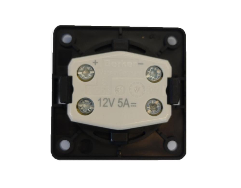 Berker Aan/Uitschakelaar Flow/Pure met Lampje Inbouw Chroom Hoogglans 12V